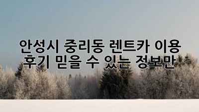 안성시 중리동 렌트카 이용 후기: 믿을 수 있는 정보만!